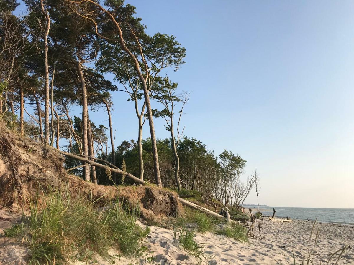 Leuchtturmhaus by Ferienhaus Strandgut Born Exterior foto